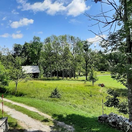 Kuca Za Odmor Gale Villa Delnice Exteriör bild