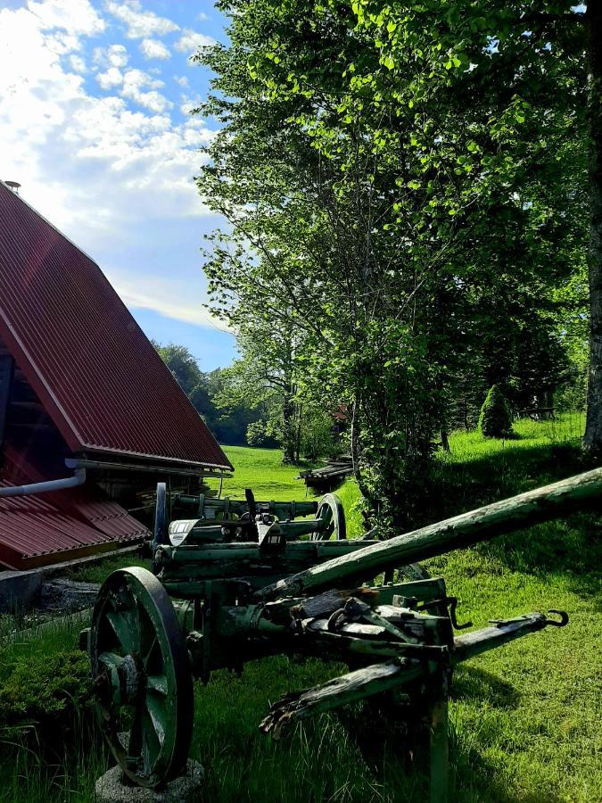 Kuca Za Odmor Gale Villa Delnice Exteriör bild